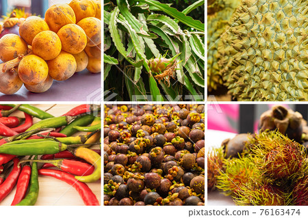 collage of assorted fruits asia longkong, dragon fruit, durian and hot peppers collage of assorted fruits asia longkong, dragon fruit, durian and hot peppers 76163474