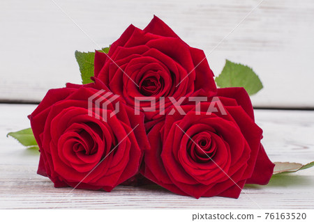 Fresh red roses background. Fresh red roses background. 76163520