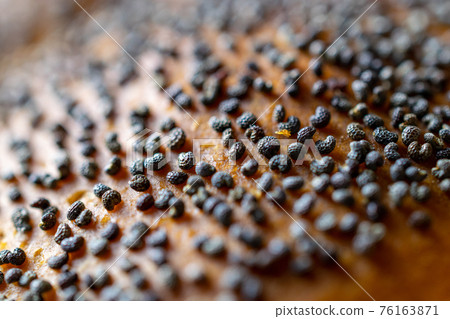 Whole wheat bread. Fresh loaf of rustic traditional bread with wheat poppy seeds in pattern of macro photography. Rye bakery with crusty loaves and crumbs. Homemade baking. 76163871