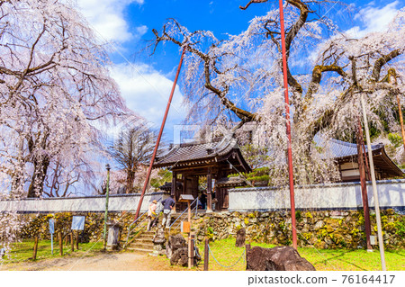清雲寺泉門 76164417