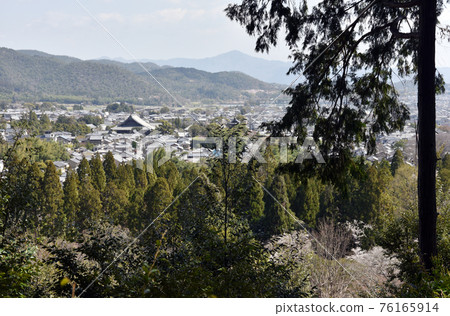 從京都市嵯峨野仁尊院時雨亭遺址遠眺嵯峨野 76165914