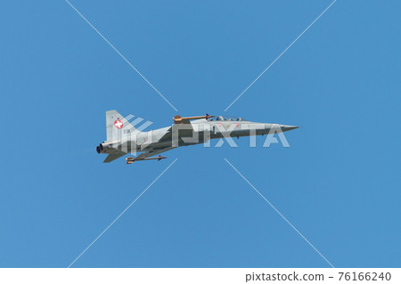 Swiss Air Force F-5E Tiger II Fighter Swiss Air Force F-5E Tiger II Fighter 76166240