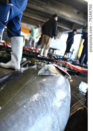 Early morning auction market 76166766