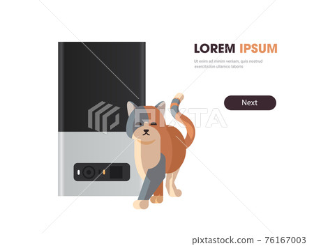 cat near automatic digital pet dry food storage meal feeder dispenser animal feed machine horizontal copy space 76167003