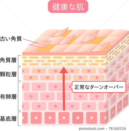 周轉橫截面 3D 76168526
