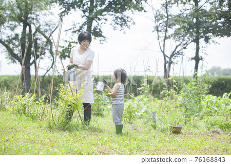 父母和孩子給藍莓澆水 父母和孩子給藍莓澆水 76168843