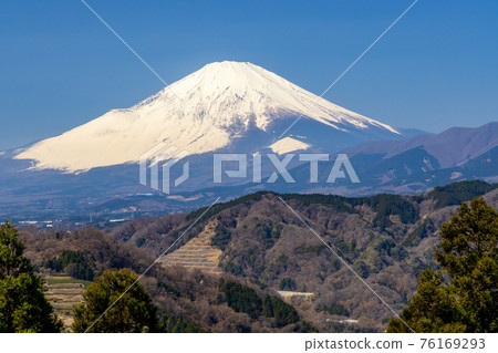 Snow-capped Mt. Fuji in spring (view from Kanagawa prefecture) 76169293