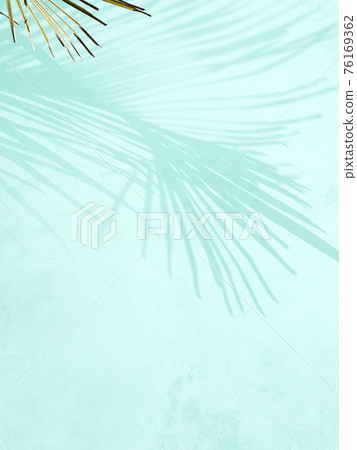 Refreshing Plant Shadow Image Material-There are multiple variations 76169362