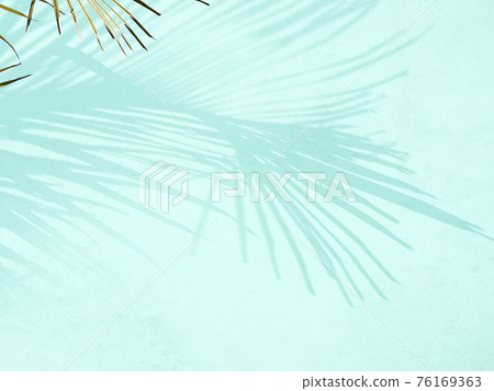 Refreshing Plant Shadow Image Material-There are multiple variations Refreshing Plant Shadow Image Material-There are multiple variations 76169363