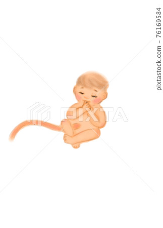Image illustration of a baby in the stomach. Hand drawn. 76169584