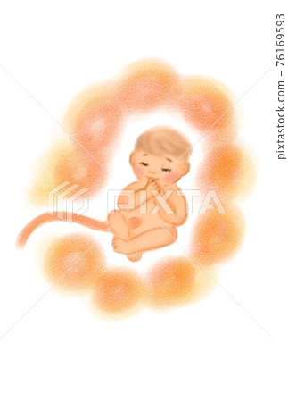 Image illustration of a baby in the stomach. Hand drawn. 76169593