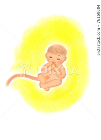 Image illustration of a baby in the stomach. Hand drawn. Image illustration of a baby in the stomach. Hand drawn. 76169684
