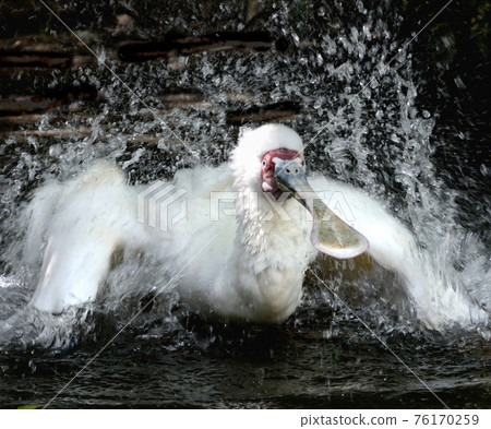 Bathing in Hella Bathing in Hella 76170259