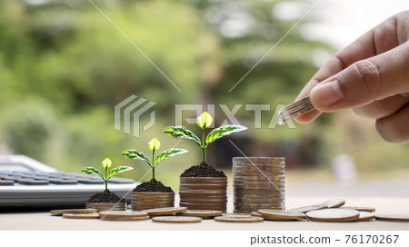 Hands are holding coins, including small tree planting on coins and natural light, financial accounting concepts, and saving money. Hands are holding coins, including small tree planting on coins and natural light, financial accounting concepts, and saving money. 76170267