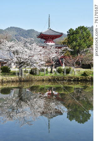 Spring Osawa Pond Free Life Pond和Shingyo-Hoto Tower Sagano，京都市 76170587