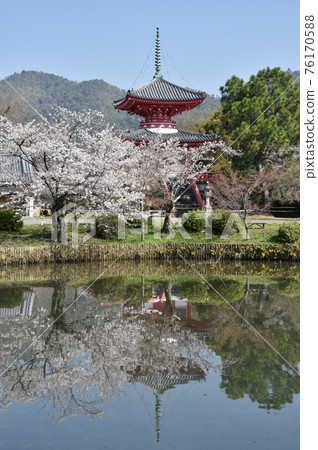 Spring Osawa Pond Free Life Pond和Shingyo-Hoto Tower Sagano,京都市 Spring Osawa Pond Free Life Pond和Shingyo-Hoto Tower Sagano,京都市 76170588