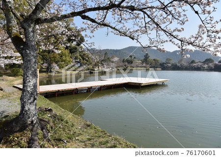 Spring Osawa Pond, Boat Pier, Sagano, Kyoto City Spring Osawa Pond, Boat Pier, Sagano, Kyoto City 76170601