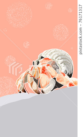 Hermit crab / hermit crab 76171317