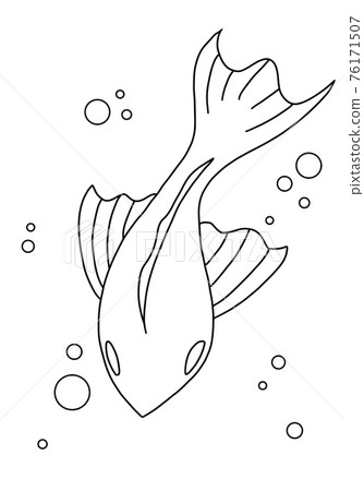 用線畫的魚 76171507