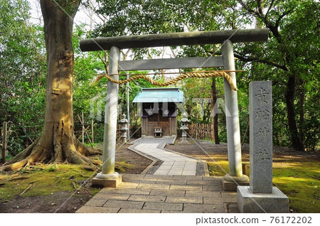靜岡縣紀田河公園Enmusubi Dori在通往岐阜神社的途中 76172202
