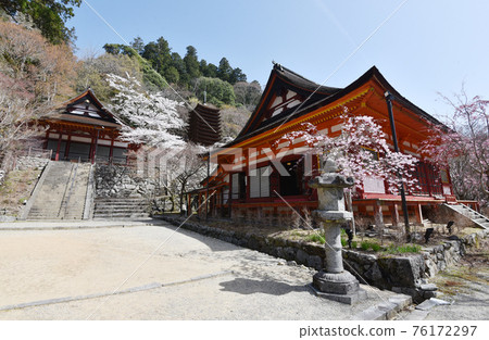 Danzan Shrine Gonden, 13-storied Pagoda, Shrine Mausoleum, Sakurai City, Nara Prefecture 76172297