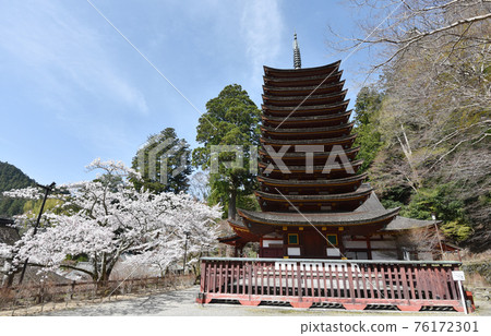 Danzan Shrine 13-storied Pagoda Sakurai City, Nara Prefecture Danzan Shrine 13-storied Pagoda Sakurai City, Nara Prefecture 76172301