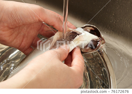 Hands to wash the internal organs with the preparation of horse mackerel 76172676