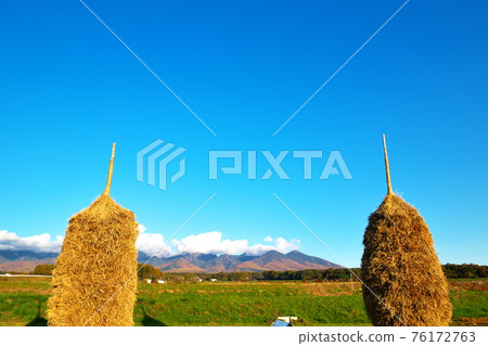 Straw Nyo Straw Nyo 76172763