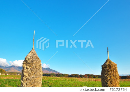 Straw Nyo Straw Nyo 76172764