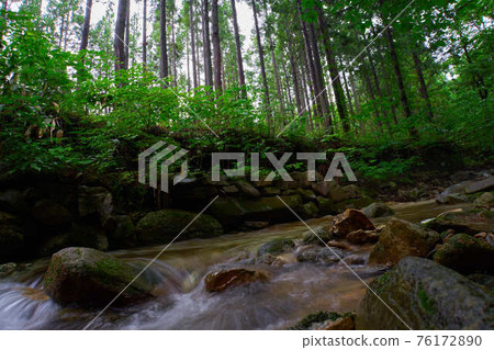 Forest and river water flow Forest and river water flow 76172890