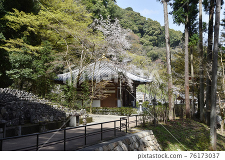 奈良縣櫻井市春長谷寺骨庫 76173037
