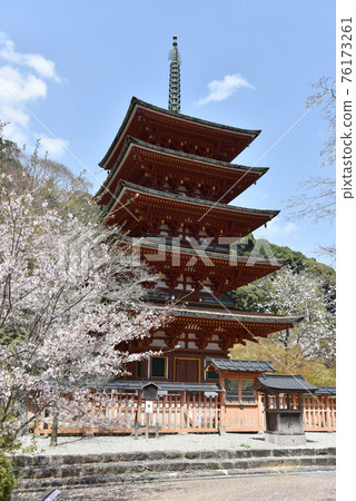 Spring Hasedera Five-storied Pagoda Sakurai City, Nara Prefecture Spring Hasedera Five-storied Pagoda Sakurai City, Nara Prefecture 76173261