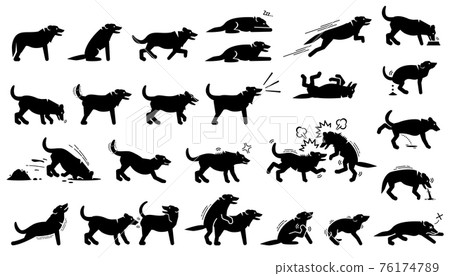 Dog actions, reactions, postures, and body languages. Illustrations depict dog standing, walking, running, jumping, eating, barking, and digging hole. It also depict dog sniffing and mating. Dog actions, reactions, postures, and body languages. Illustrations depict dog standing, walking, running, jumping, eating, barking, and digging hole. It also depict dog sniffing and mating. 76174789