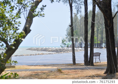 beach, sea and tree or beach, sea and sky beach, sea and tree or beach, sea and sky 76175293