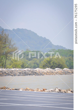 sea and tree or beach, sea and sky sea and tree or beach, sea and sky 76175295