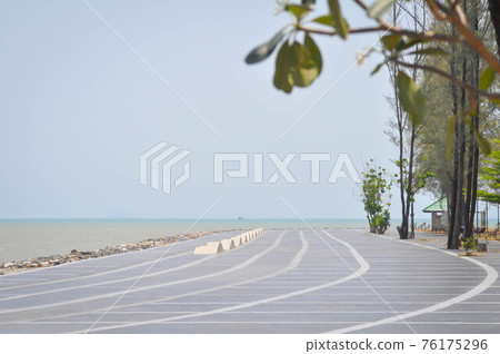 beach, sea and tree or beach, sea and sky beach, sea and tree or beach, sea and sky 76175296