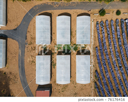 Cultivated greenhouse in plantation. Organic agricultural farm in countryside 76176416