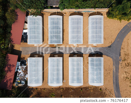 Cultivated greenhouse in plantation. Organic agricultural farm in countryside 76176417