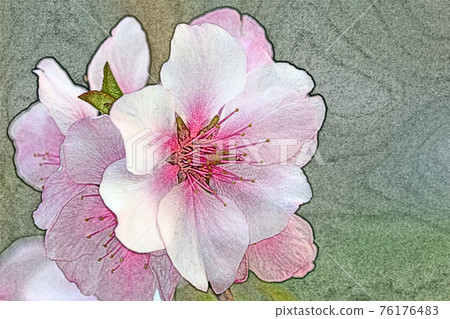 粉紅色的花朵“杏仁”彩色鉛筆素描風格,在清晨的陽光下奇幻地出現,並且生動起來 粉紅色的花朵“杏仁”彩色鉛筆素描風格,在清晨的陽光下奇幻地出現,並且生動起來 76176483