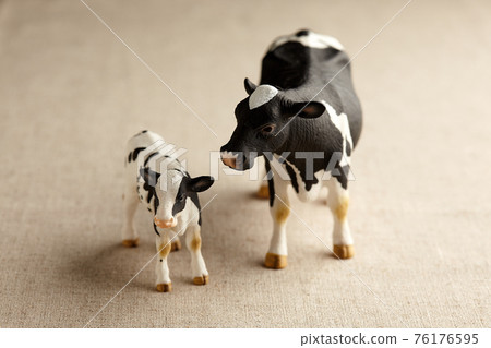 Holstein cow figure lined up with parent and child 76176595