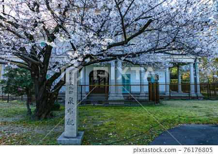 Izumi氏族 Izumi氏族 76176805