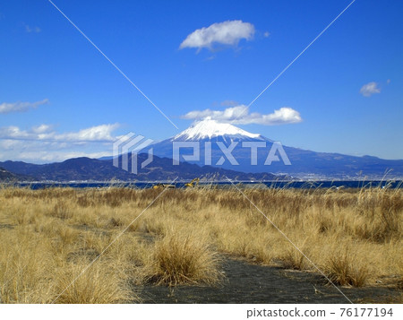 [Shizuoka] Mt. Fuji from Miho Airfield 76177194