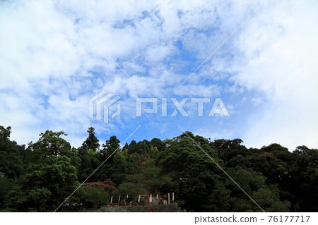 Shiga: Lake Biwa: Take a walk on Chikubu Island, 7 (Nagahama City, Shiga Prefecture) 76177717