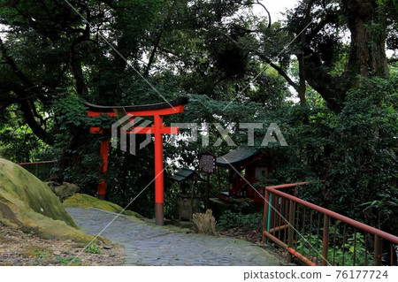 Shiga: Lake Biwa: Take a walk on Chikubu Island ・ 13 (Nagahama City, Shiga Prefecture) 76177724