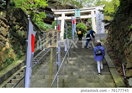 滋賀：琵琶湖：竹生島步行33號（滋賀縣長濱市） 76177745