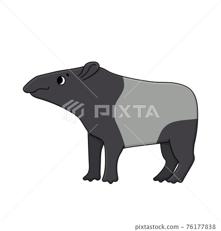 Vector cute outline doodle cartoon Malayan or Asian tapir. Isolated hand drawn illustration on white background, side view. Tapir looks to the left. Vector cute outline doodle cartoon Malayan or Asian tapir. Isolated hand drawn illustration on white background, side view. Tapir looks to the left. 76177838