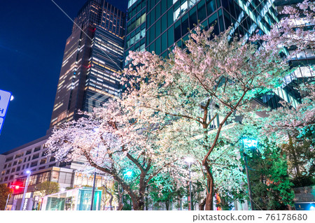 《Tokyo》 Spring Tokyo, an office district in full bloom of cherry blossoms 《Tokyo》 Spring Tokyo, an office district in full bloom of cherry blossoms 76178680