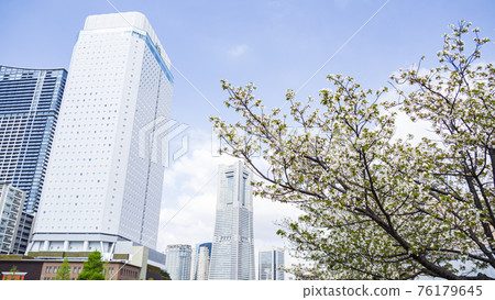 Spring in Minatomirai, Nishi-ku, Yokohama-shi, Kanagawa 76179645