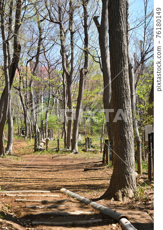 Minuma field walk: Owada Ryokuchi Park 76180149