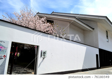 熊本城:櫻花盛開的櫻花馬場“城彩園” 熊本城:櫻花盛開的櫻花馬場“城彩園” 76180349